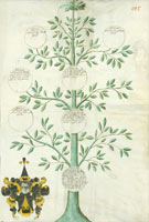 Stammbaum des Kurfürstlichen Rats Laurentius Zinckgräff zu Heidelberg